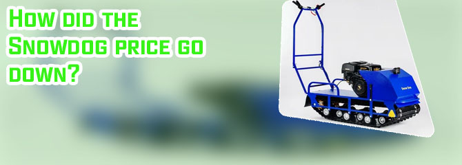 Snowdog crypto price