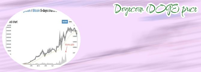 Wife dogecoin chart